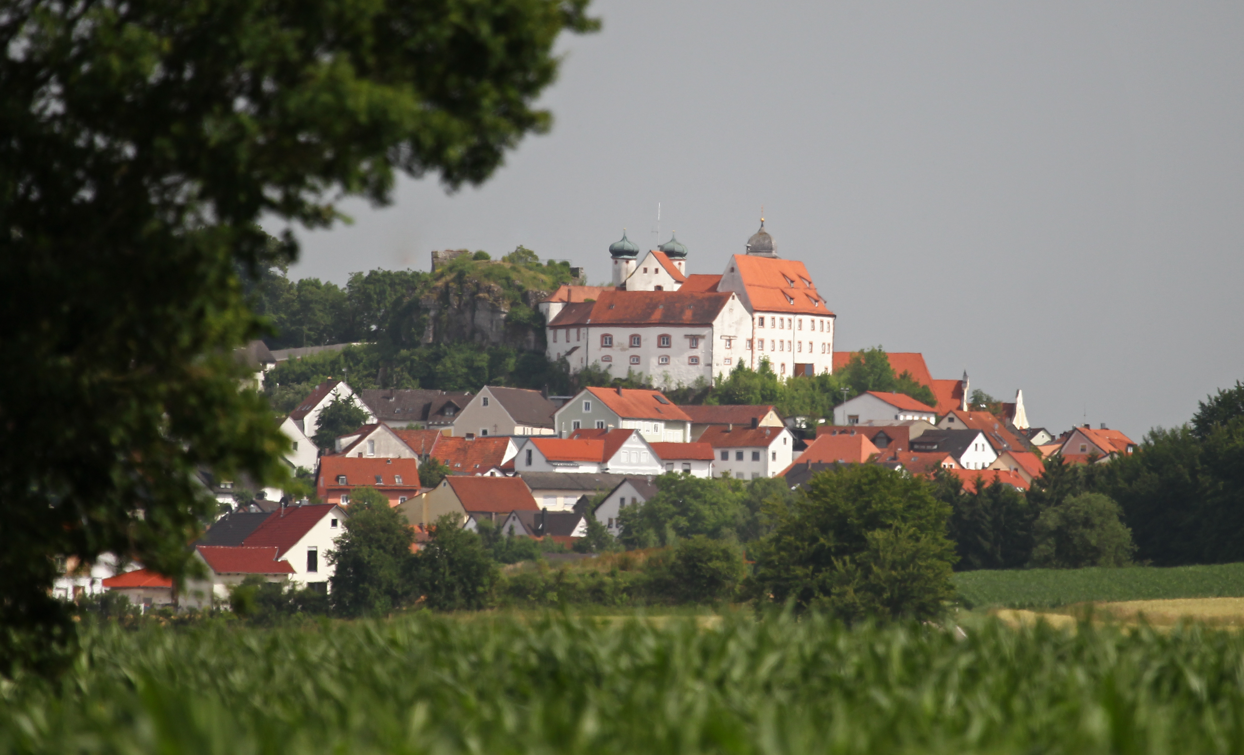 Labertal Parsberg Burg Fernblick.jpg