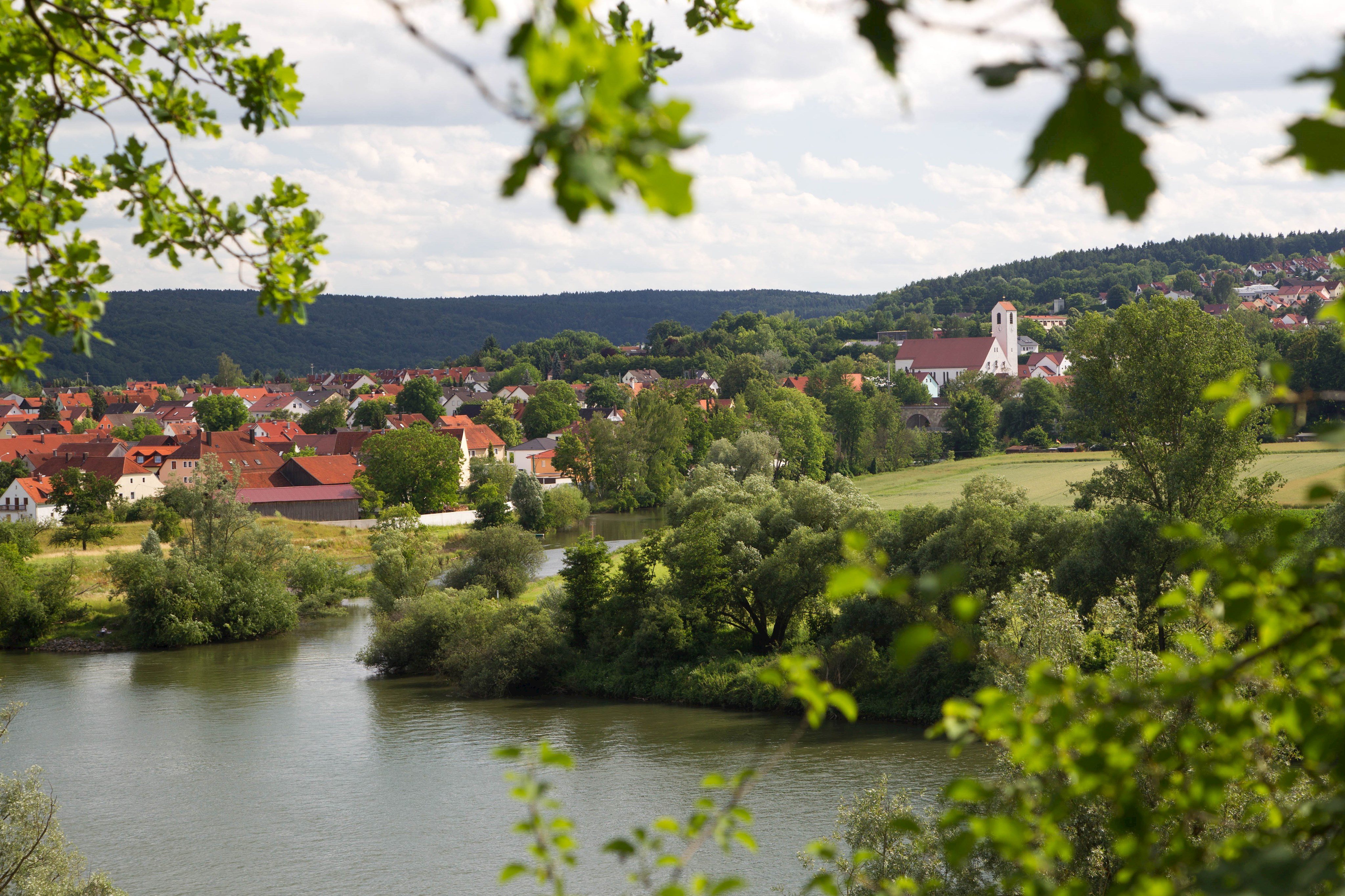 Labertal Sinzing Labermündung.jpg