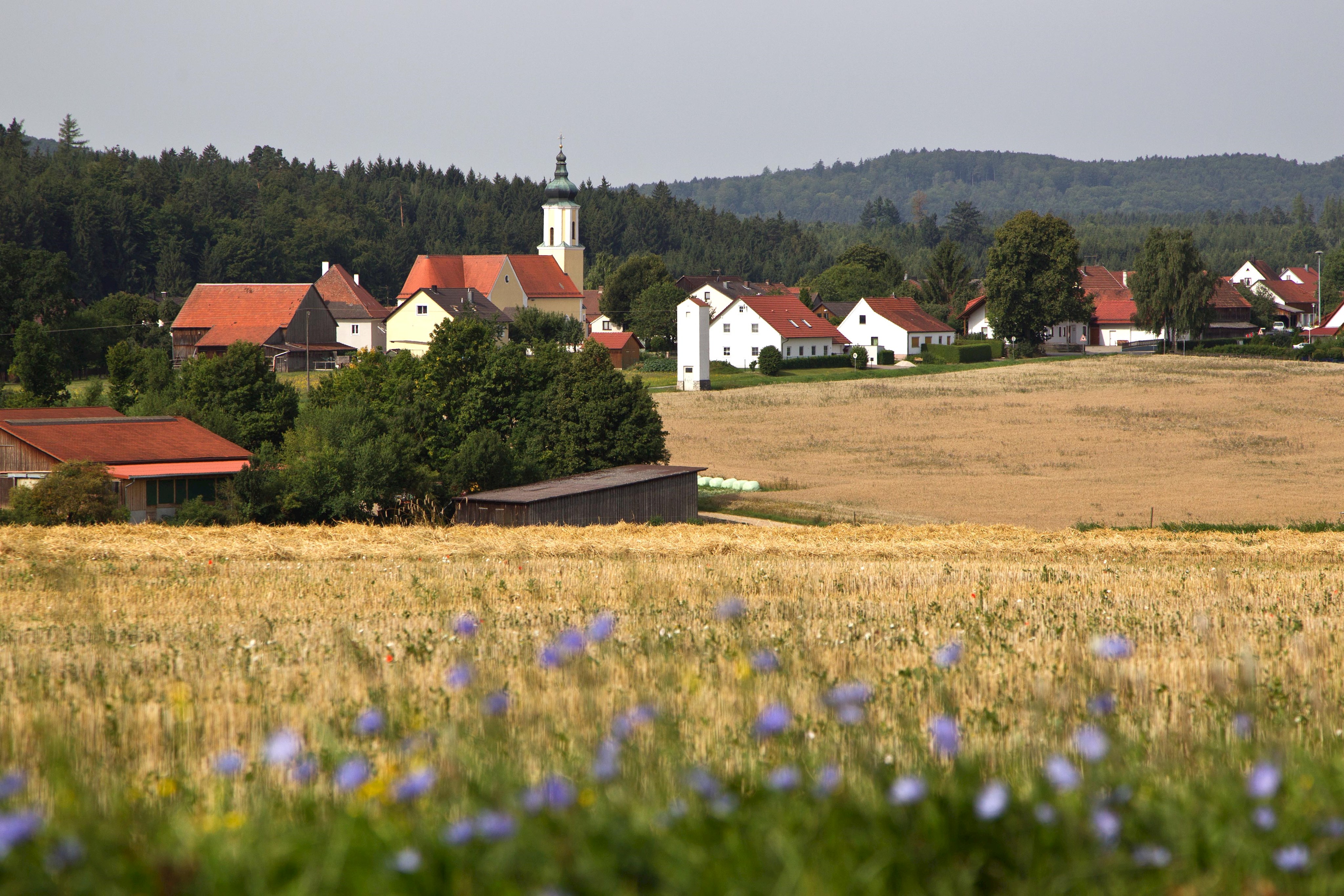 Labertal Seubersdorf Eichenhofen vom Malerwinkel aus 2.jpg