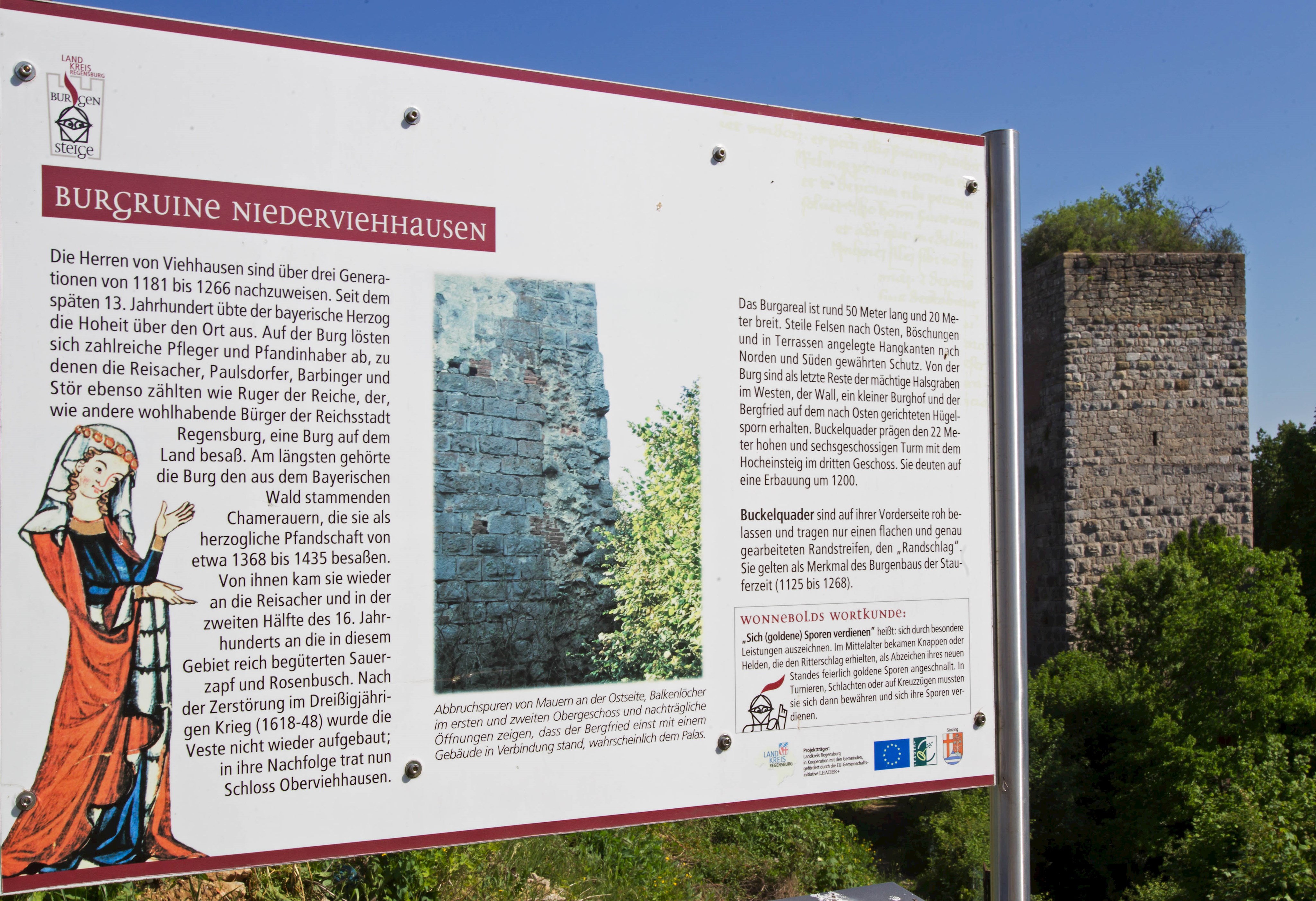 Infotafel bei der Burgruine Niederviehhausen