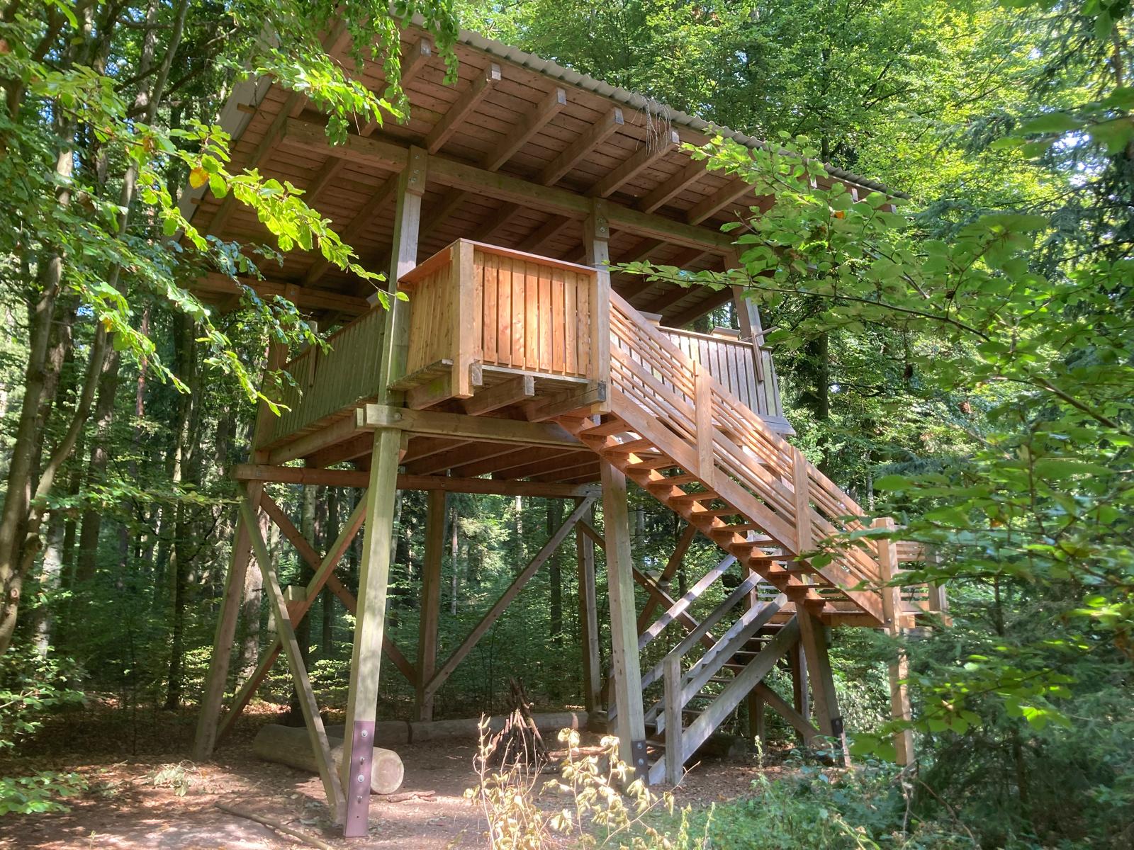 Holz-Aussichtsplattform umgeben von grüner Waldlandschaft